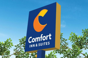 Отель Comfort Inn & Suites  Галвестон